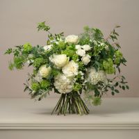 timeless-collection-menu-logo