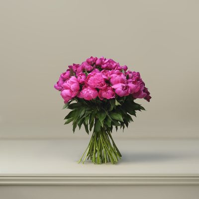 Raspberry Sorbet British Peonies
