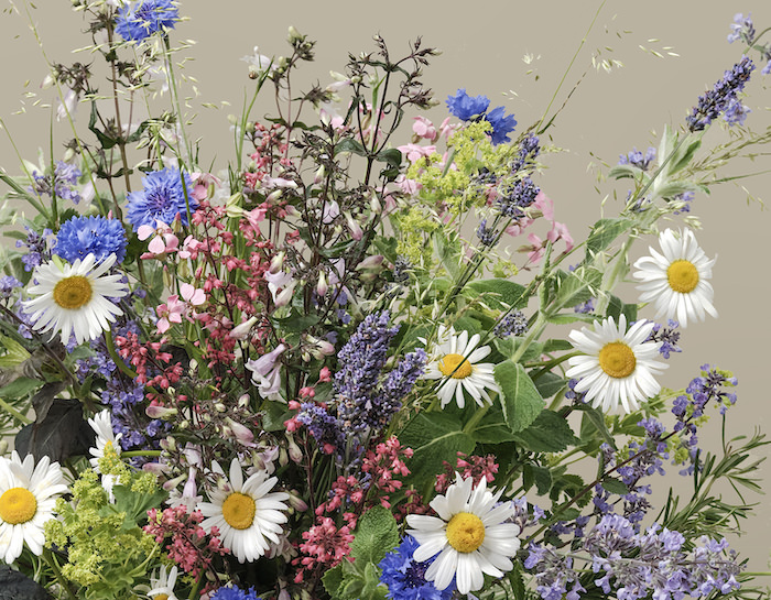 British Flowers · Paul Thomas Flowers