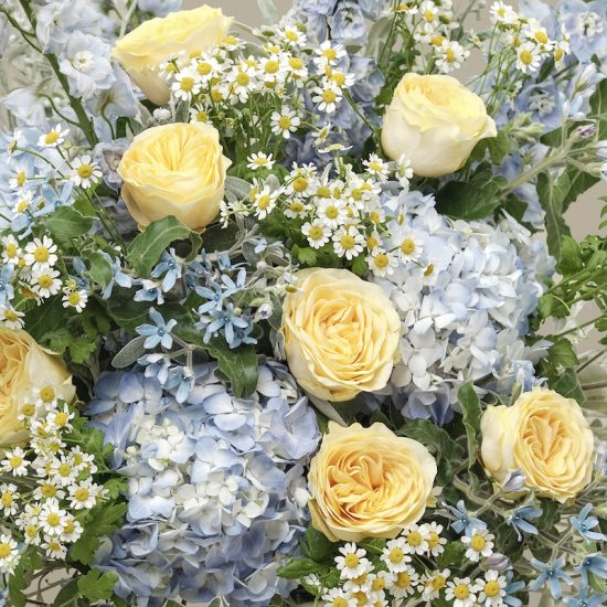 Shop · Paul Thomas Flowers