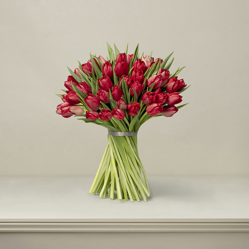 British Red Tulips