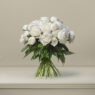 Cream Tea British Peonies